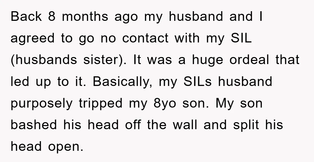 Back 8 months ago my husband and I agreed to go no contact with my SIL (husbands sister). It was a huge ordeal that led up to it. Basically, my...