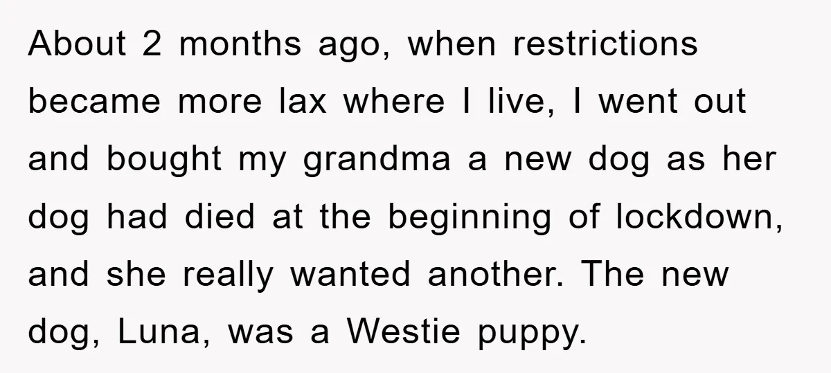 About 2 months ago, when restrictions became more lax where I live, I went out and bought my grandma a new dog as her dog had died at the beginning...