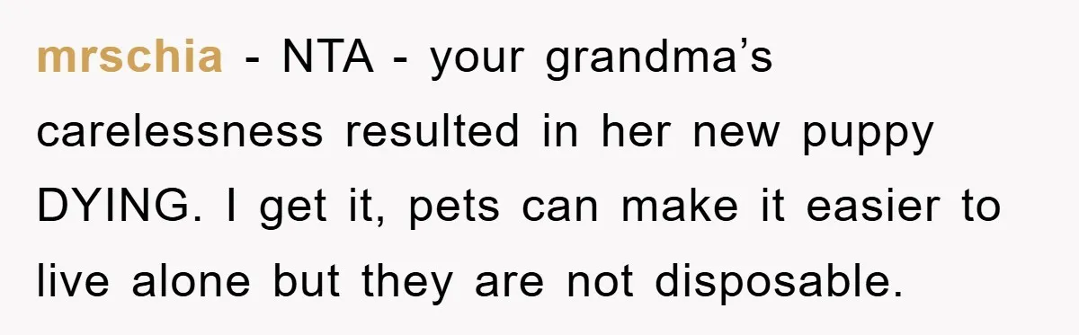 mrschia − NTA - your grandma’s carelessness resulted in her new puppy DYING. I get it, pets can make it easier to live alone but they are not disposable.