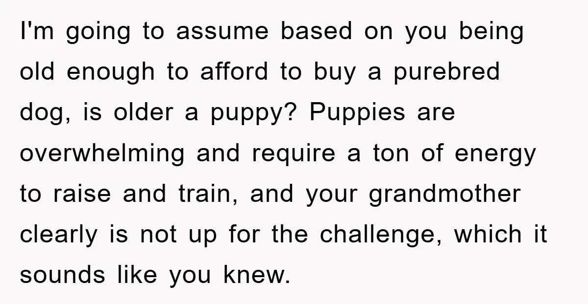 I'm going to assume based on you being old enough to afford to buy a purebred dog, is older a puppy? Puppies are overwhelming and require a ton of energy...
