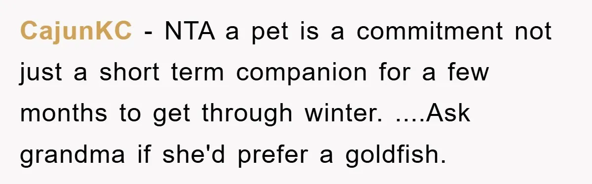CajunKC − NTA a pet is a commitment not just a short term companion for a few months to get through winter. ....Ask grandma if she'd prefer a goldfish.