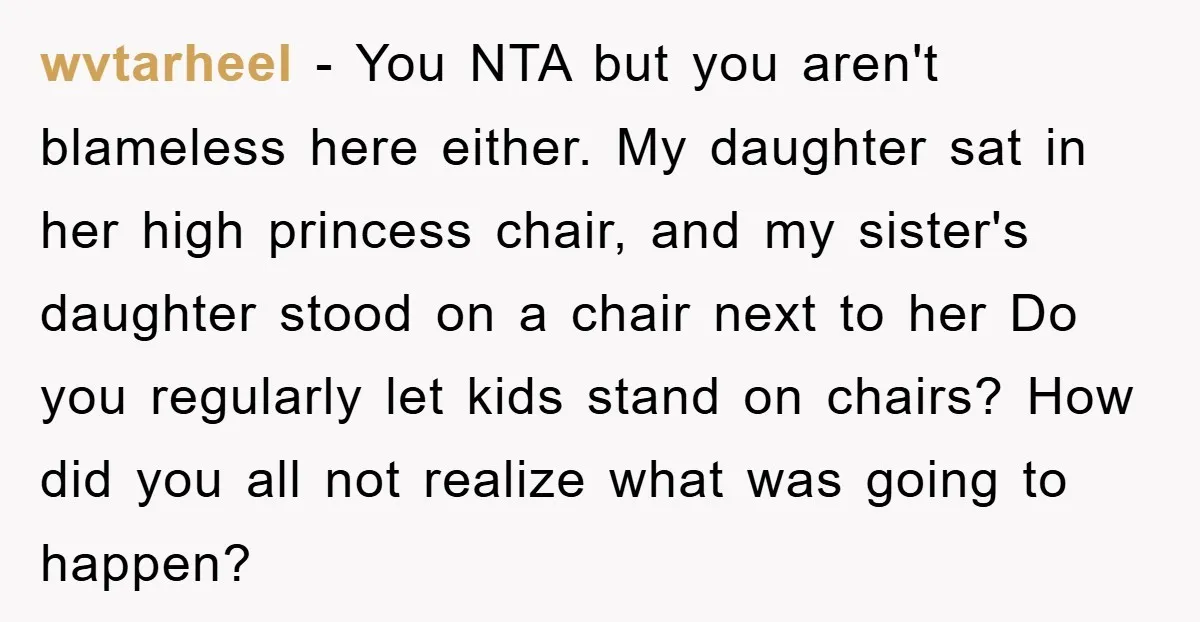 wvtarheel − You NTA but you aren't blameless here either. My daughter sat in her high princess chair, and my sister's daughter stood on a chair next to her Do...