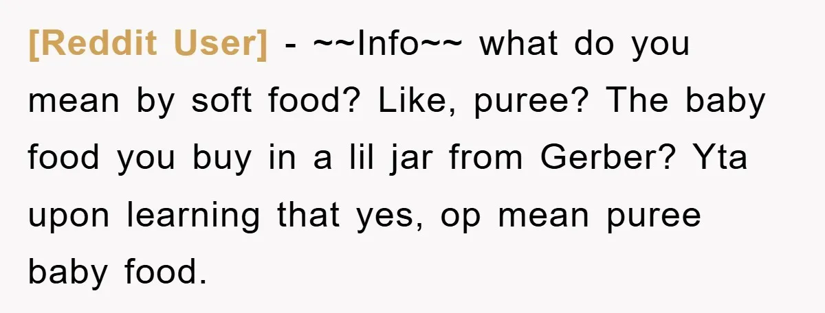 [Reddit User] − ~~Info~~ what do you mean by soft food? Like, puree? The baby food you buy in a lil jar from Gerber? Yta upon learning that yes, op...