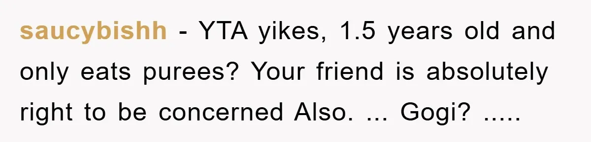 saucybishh − YTA yikes, 1.5 years old and only eats purees? Your friend is absolutely right to be concerned Also. ... Gogi? .....