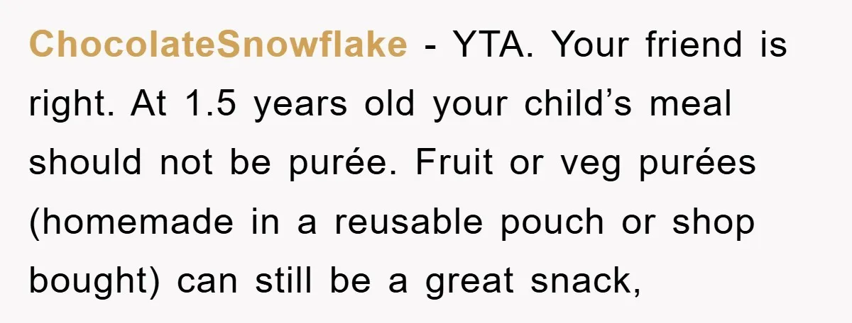ChocolateSnowflake − YTA. Your friend is right. At 1.5 years old your child’s meal should not be purée. Fruit or veg purées (homemade in a reusable pouch or shop bought)...