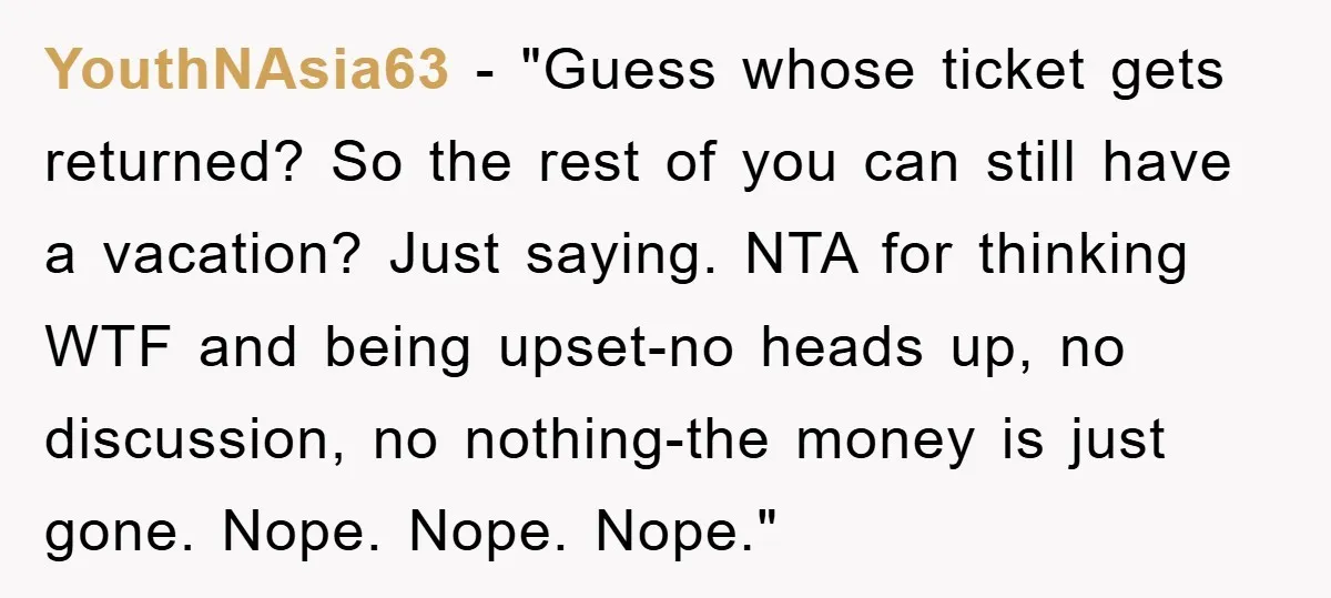 YouthNAsia63 - "Guess whose ticket gets returned? So the rest of you can still have a vacation? Just saying. NTA for thinking WTF and being upset-no heads up, no discussion,...