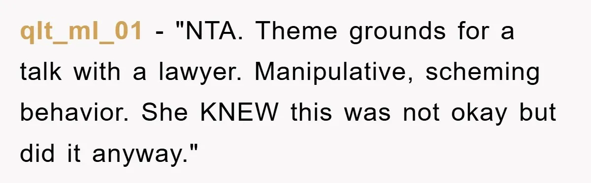 qlt_ml_01 - "NTA. Theme grounds for a talk with a lawyer. Manipulative, scheming behavior. She KNEW this was not okay but did it anyway."