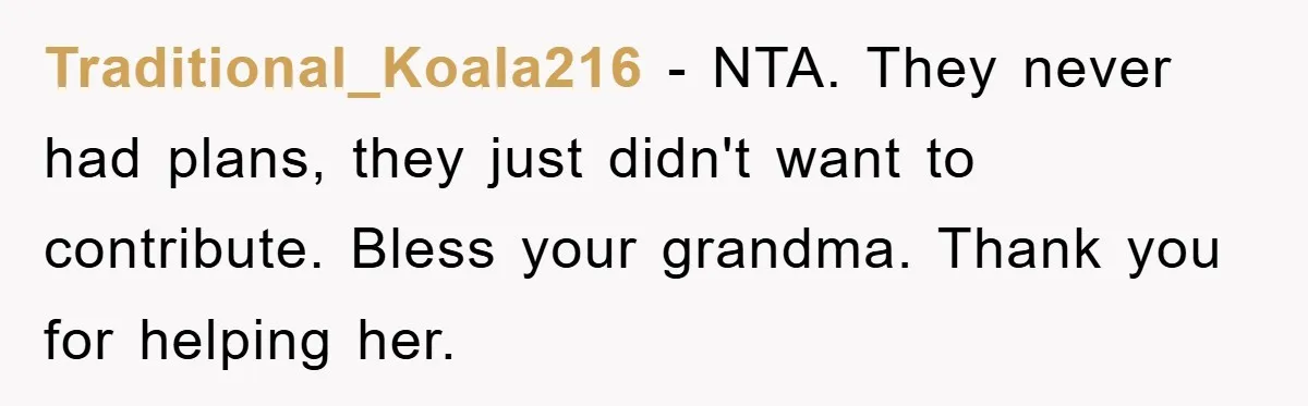 Traditional_Koala216 − NTA. They never had plans, they just didn't want to contribute. Bless your grandma. Thank you for helping her.