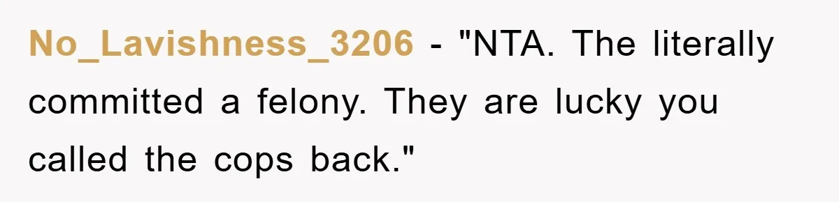 No_Lavishness_3206 - "NTA. The literally committed a felony. They are lucky you called the cops back."