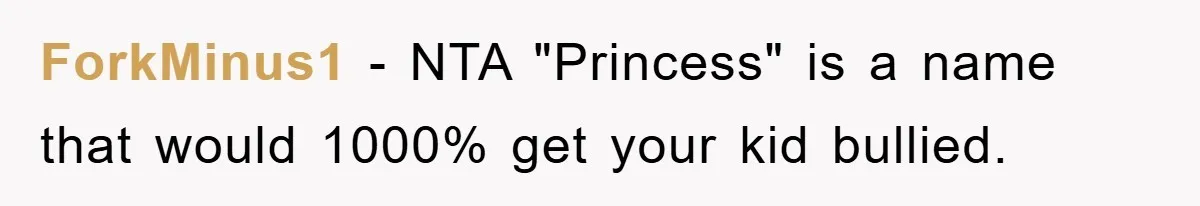 ForkMinus1 − NTA "Princess" is a name that would 1000% get your kid bullied.