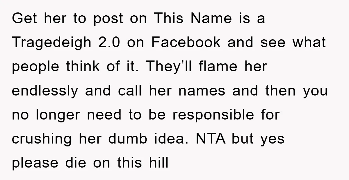 Get her to post on This Name is a Tragedeigh 2.0 on Facebook and see what people think of it. They’ll flame her endlessly and call her names and then...