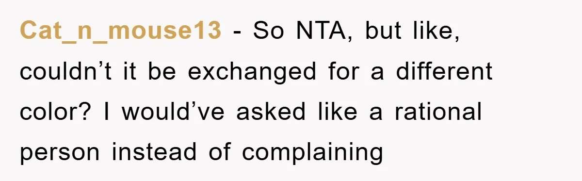 Cat_n_mouse13 − So NTA, but like, couldn’t it be exchanged for a different color? I would’ve asked like a rational person instead of complaining