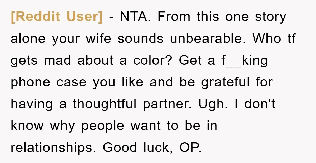 [Reddit User] − NTA. From this one story alone your wife sounds unbearable. Who tf gets mad about a color? Get a f__king phone case you like and be grateful...
