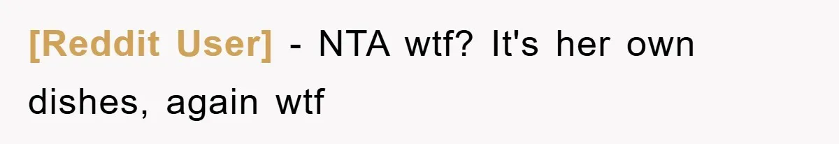 [Reddit User] − NTA wtf? It's her own dishes, again wtf