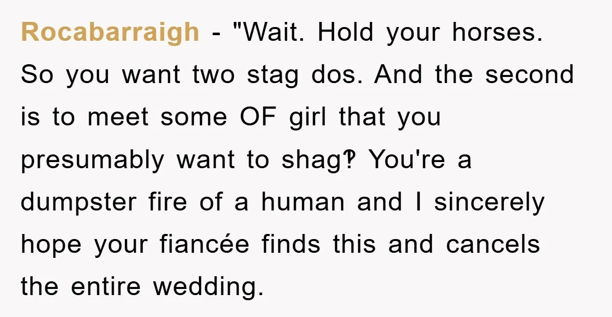 Rocabarraigh - "Wait. Hold your horses. So you want two stag dos. And the second is to meet some OF girl that you presumably want to shag‽ You're a dumpster...