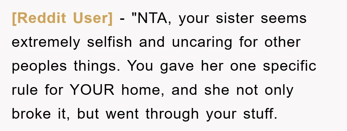 [Reddit User] - "NTA, your sister seems extremely selfish and uncaring for other peoples things. You gave her one specific rule for YOUR home, and she not only broke it,...