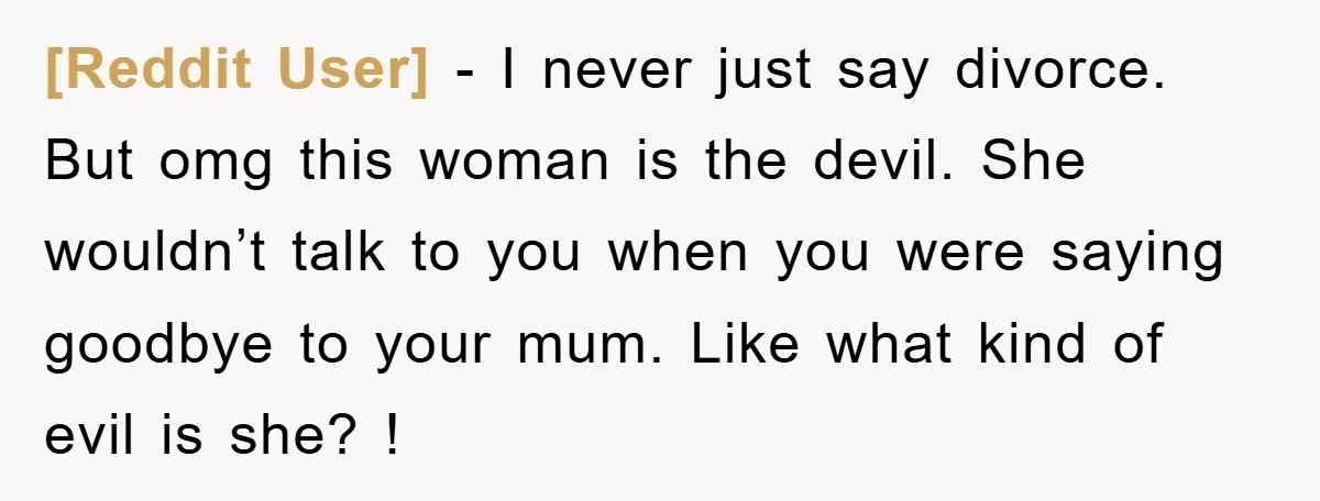 [Reddit User] − I never just say divorce. But omg this woman is the devil. She wouldn’t talk to you when you were saying goodbye to your mum. Like what...