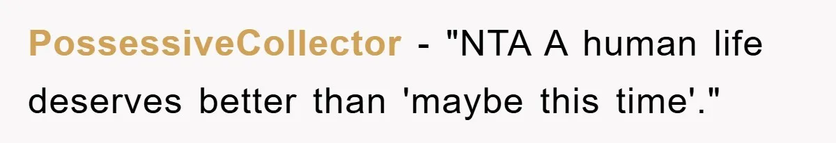 PossessiveCollector - "NTA A human life deserves better than 'maybe this time'."