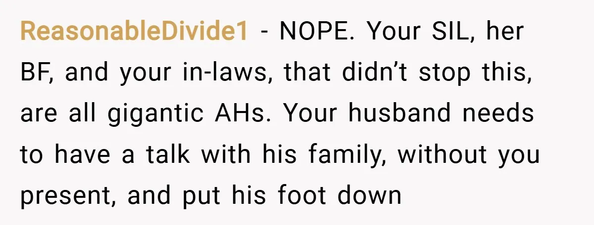 ReasonableDivide1 − NOPE. Your SIL, her BF, and your in-laws, that didn’t stop this, are all gigantic AHs. Your husband needs to have a talk with his family, without you...