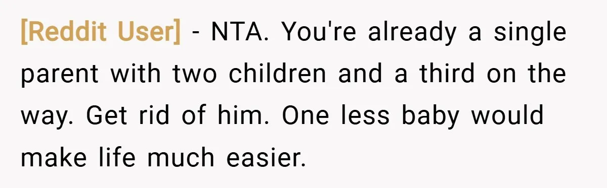 [Reddit User] − NTA. You're already a single parent with two children and a third on the way. Get rid of him. One less baby would make life much easier.