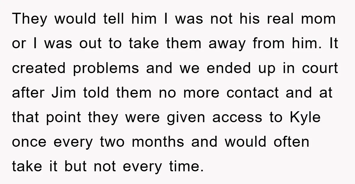 They would tell him I was not his real mom or I was out to take them away from him. It created problems and we ended up in court after...