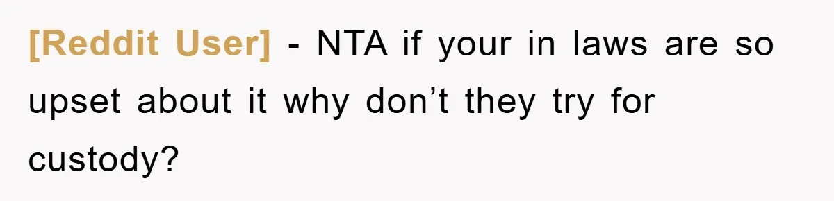 [Reddit User] − NTA if your in laws are so upset about it why don’t they try for custody?