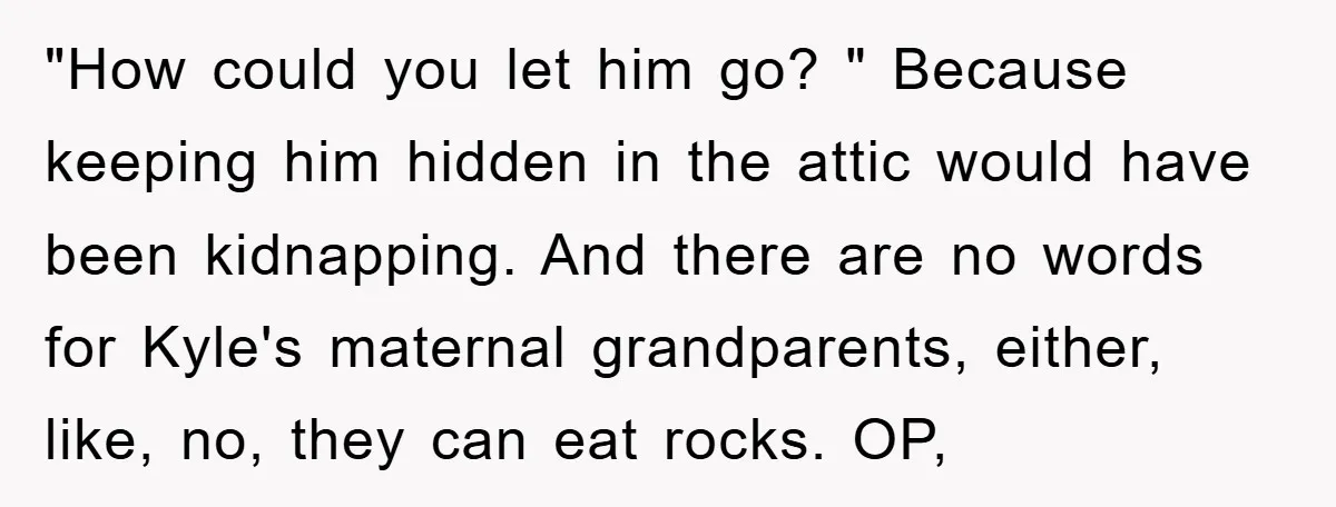 "How could you let him go? " Because keeping him hidden in the attic would have been kidnapping. And there are no words for Kyle's maternal grandparents, either, like, no,...