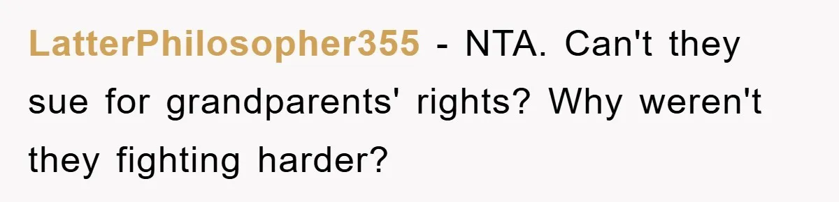 LatterPhilosopher355 − NTA. Can't they sue for grandparents' rights? Why weren't they fighting harder?