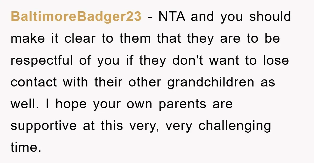 BaltimoreBadger23 − NTA and you should make it clear to them that they are to be respectful of you if they don't want to lose contact with their other grandchildren...