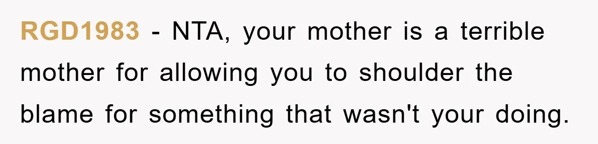 RGD1983 − NTA, your mother is a terrible mother for allowing you to shoulder the blame for something that wasn't your doing.