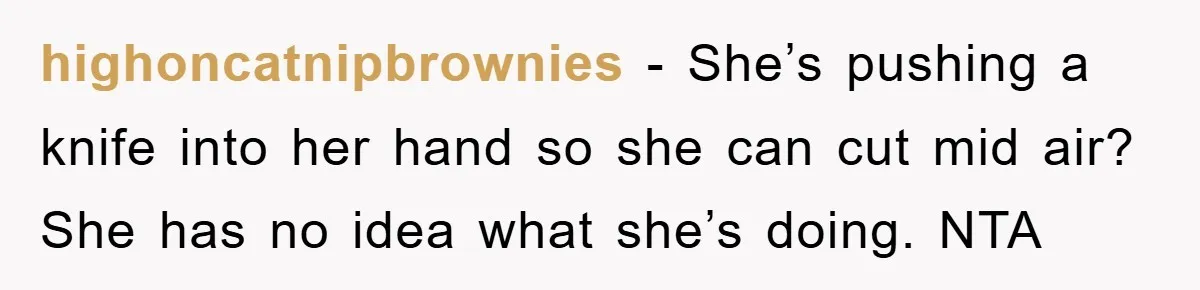 highoncatnipbrownies − She’s pushing a knife into her hand so she can cut mid air? She has no idea what she’s doing. NTA