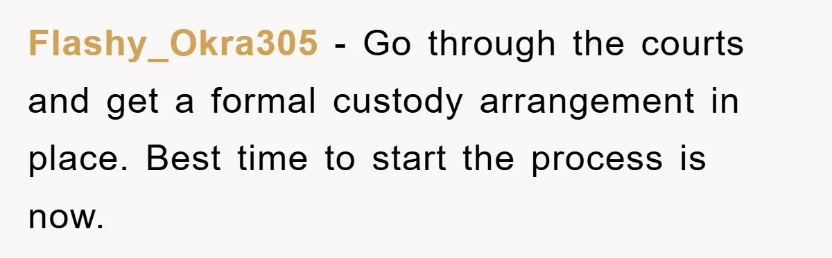 Flashy_Okra305 - Go through the courts and get a formal custody arrangement in place. Best time to start the process is now.