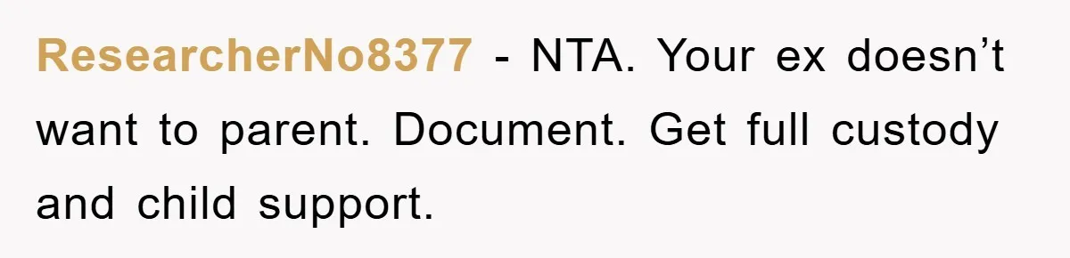 ResearcherNo8377 - NTA. Your ex doesn’t want to parent. Document. Get full custody and child support.
