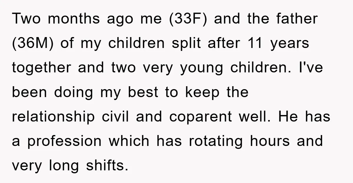 Two months ago me (33F) and the father (36M) of my children split after 11 years together and two very young children. I've been doing my best to keep the...