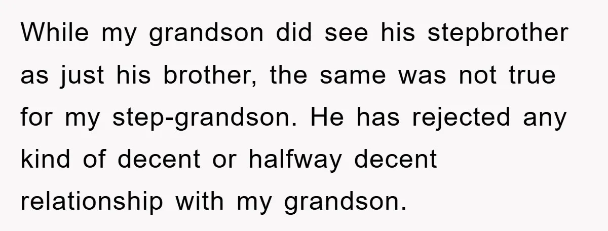 While my grandson did see his stepbrother as just his brother, the same was not true for my step-grandson. He has rejected any kind of decent or halfway decent relationship...