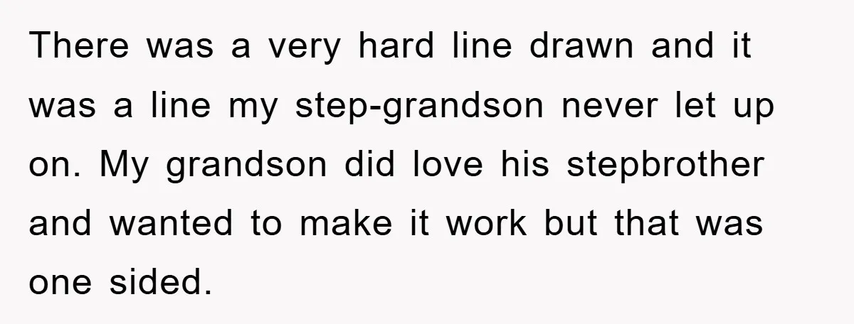 There was a very hard line drawn and it was a line my step-grandson never let up on. My grandson did love his stepbrother and wanted to make it work...
