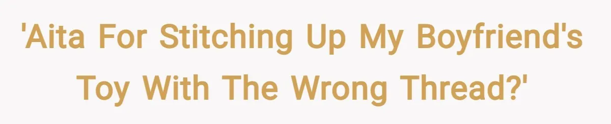 'AITA for stitching up my boyfriend's toy with the wrong thread?'