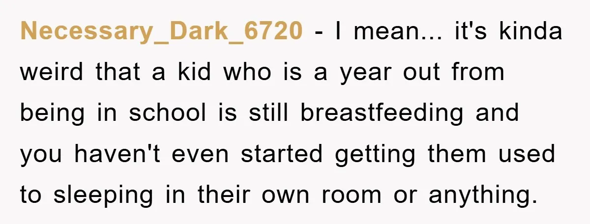 Necessary_Dark_6720 - I mean... it's kinda weird that a kid who is a year out from being in school is still breastfeeding and you haven't even started getting them used...