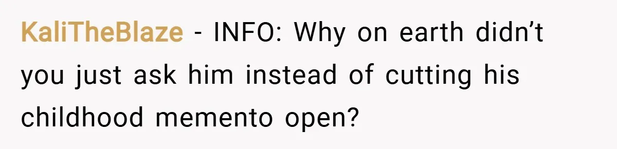 KaliTheBlaze − INFO: Why on earth didn’t you just ask him instead of cutting his childhood memento open?
