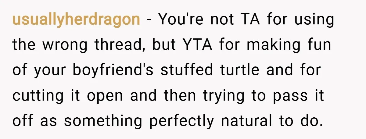 usuallyherdragon − You're not TA for using the wrong thread, but YTA for making fun of your boyfriend's stuffed turtle and for cutting it open and then trying to pass...
