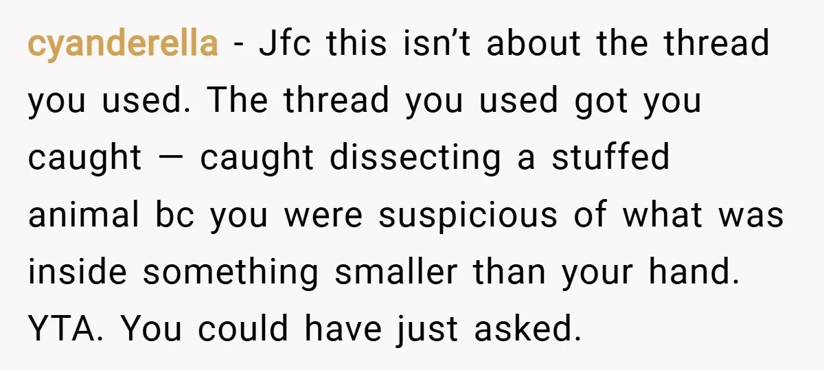 cyanderella − Jfc this isn’t about the thread you used. The thread you used got you caught — caught dissecting a stuffed animal bc you were suspicious of what was...