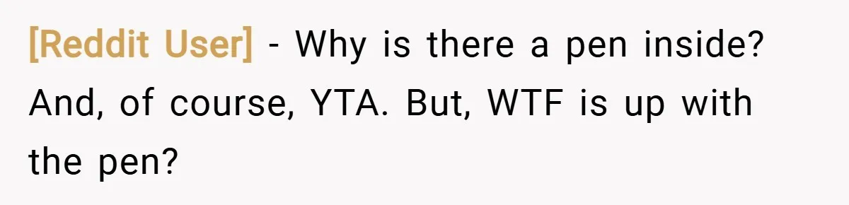 [Reddit User] − Why is there a pen inside? And, of course, YTA. But, WTF is up with the pen?
