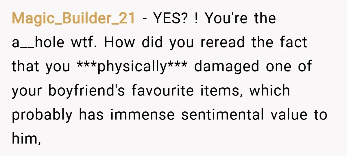 Magic_Builder_21 − YES? ! You're the a__hole wtf. How did you reread the fact that you ***physically*** damaged one of your boyfriend's favourite items, which probably has immense sentimental value...