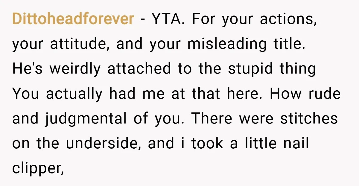 Dittoheadforever − YTA. For your actions, your attitude, and your misleading title. He's weirdly attached to the stupid thing You actually had me at that here. How rude and judgmental...