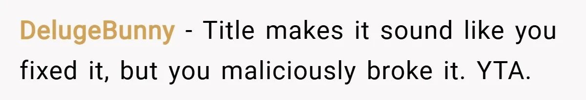 DelugeBunny − Title makes it sound like you fixed it, but you maliciously broke it. YTA.