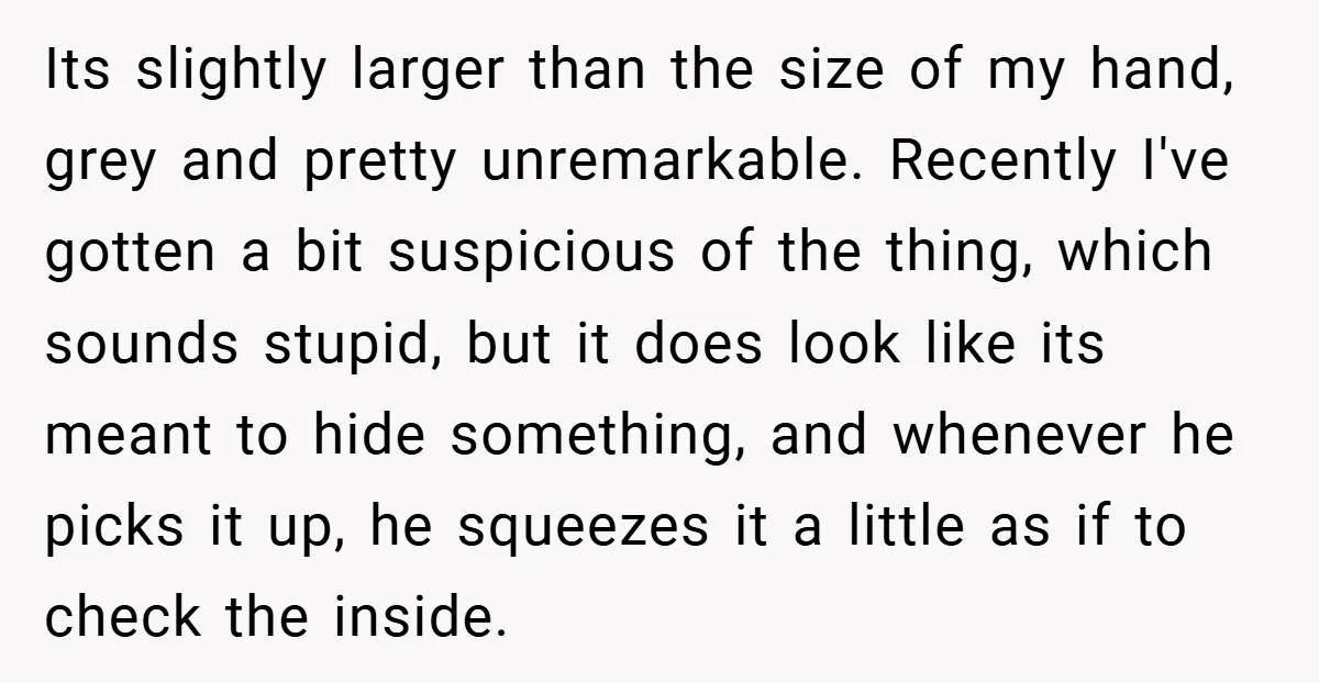 Its slightly larger than the size of my hand, grey and pretty unremarkable. Recently I've gotten a bit suspicious of the thing, which sounds stupid, but it does look like...