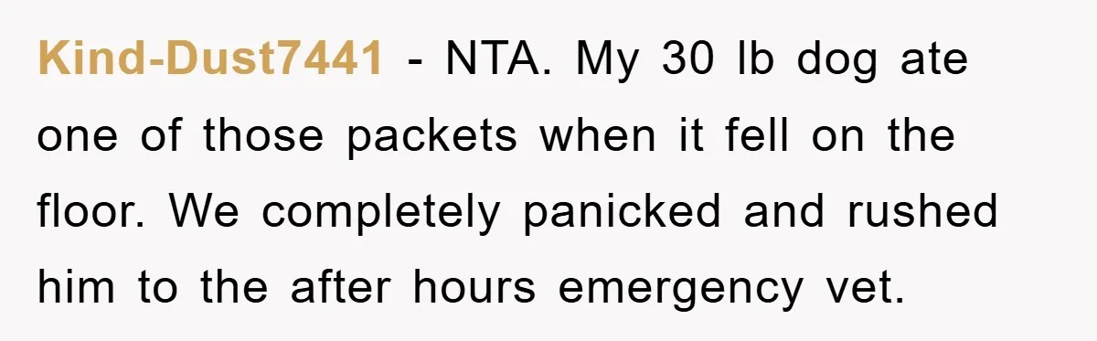 Kind-Dust7441 − NTA. My 30 lb dog ate one of those packets when it fell on the floor. We completely panicked and rushed him to the after hours emergency vet.