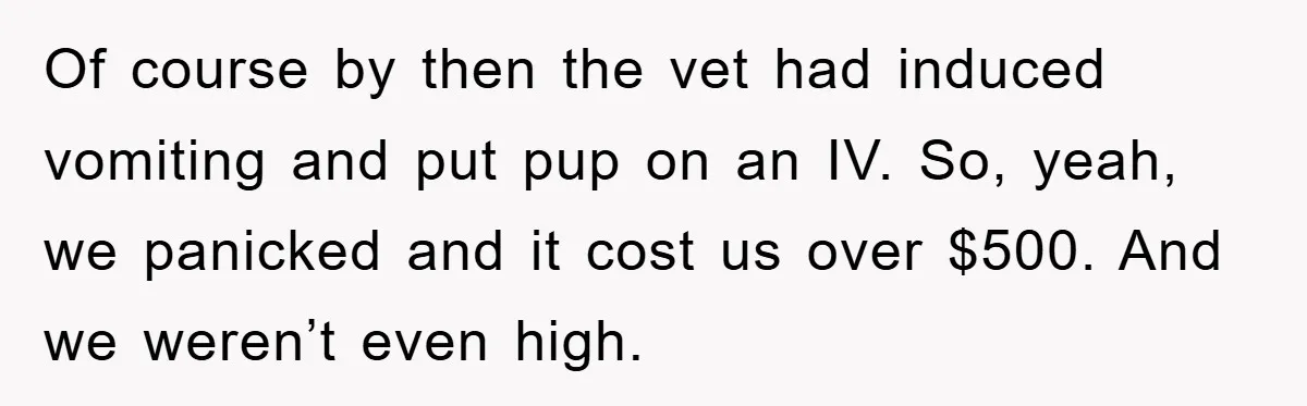 Of course by then the vet had induced vomiting and put pup on an IV. So, yeah, we panicked and it cost us over $500. And we weren’t even high.