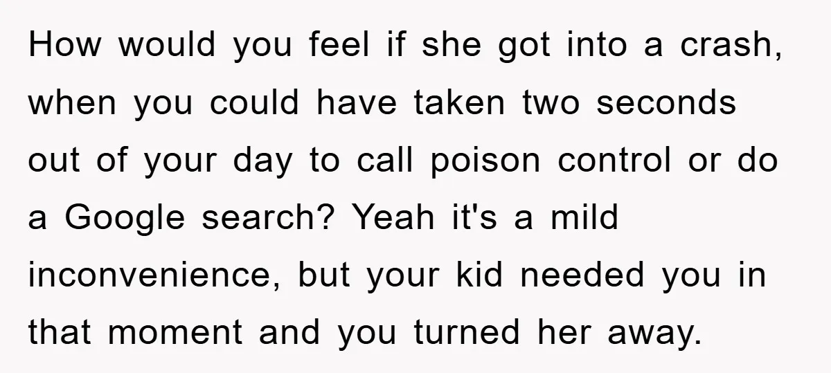 How would you feel if she got into a crash, when you could have taken two seconds out of your day to call poison control or do a Google search?...