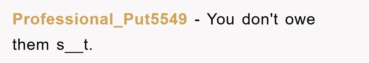 Professional_Put5549 - You don't owe them s__t.
